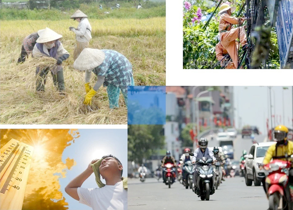 Nhưng nhiều người trong chúng tai vẫn phải ngày ngày phơi mình dưới cái nắng như đổ lửa, nhiều lúc tưởng như kiệt sức vì miếng cơm manh áo.